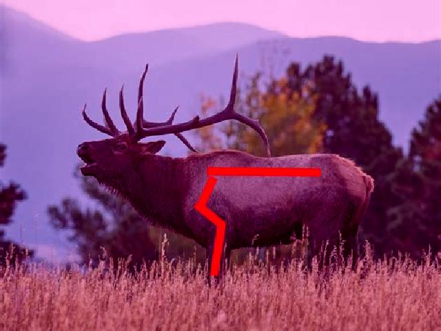Porównanie trybu pionowego i poziomego w grach Elk